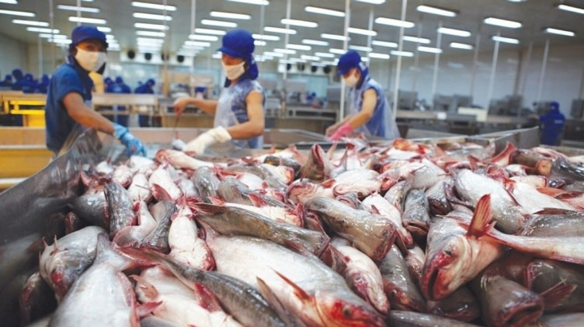 37.500 tấn thủy sản Việt đang trên đường tới Mỹ ‘thở phào’ khi nghe tin này