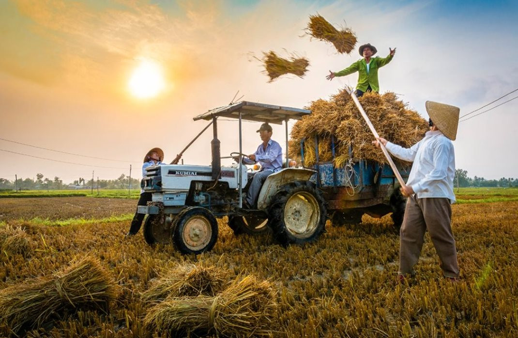Từ Lộc Trời đến Vinaseed: Một sân chơi, hai hành trình phát triển