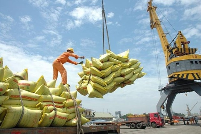Gạo Việt xuất khẩu lấy lại vị thế ‘đắt giá nhất thế giới’ ảnh 1