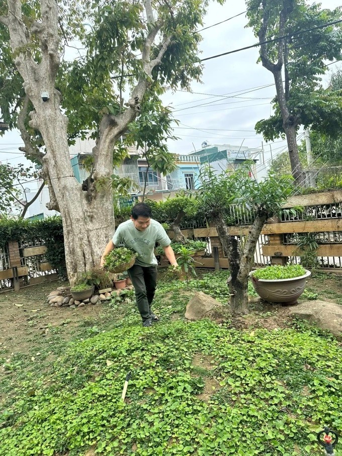 Nam ca sĩ là 'ông hoàng nhạc đỏ', sống trong biệt thự xa hoa nhưng vẫn cực mê loại cỏ mọc dại xưa là cây cứu đói, biểu tượng của một tỉnh - ảnh 1