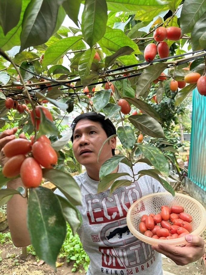 Nam ca sĩ là 'ông hoàng nhạc đỏ', sống trong biệt thự xa hoa nhưng vẫn cực mê loại cỏ mọc dại xưa là cây cứu đói, biểu tượng của một tỉnh - ảnh 3