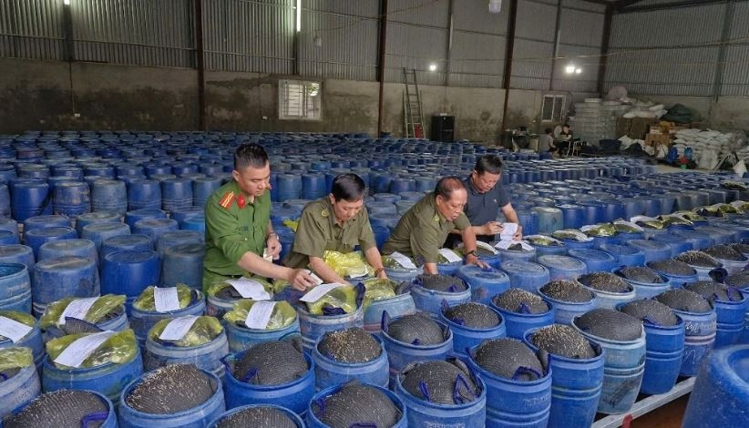 Bắt 4 chủ cơ sở sản xuất 3.500 tấn giá đỗ ngâm chất cấm tại Nghệ An
