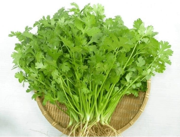 Tưởng chỉ để trang trí món ăn, loại rau rẻ tiền bán khắp chợ Việt lại có công dụng bất ngờ khiến ai cũng ngạc nhiên