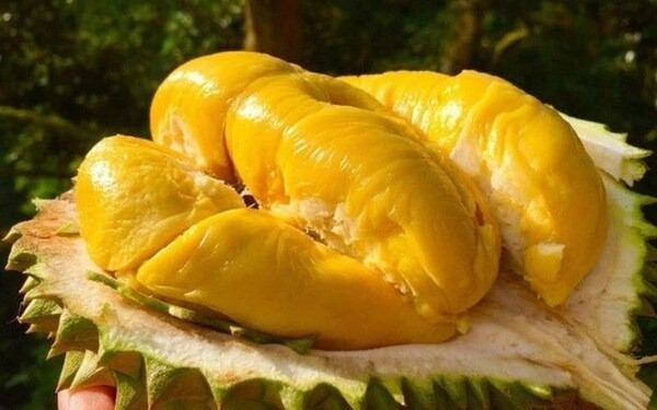 Bị Trung Quốc làm khó, 'quả tỷ đô' của Việt Nam tìm cơ hội ở Mỹ và Đài Loan