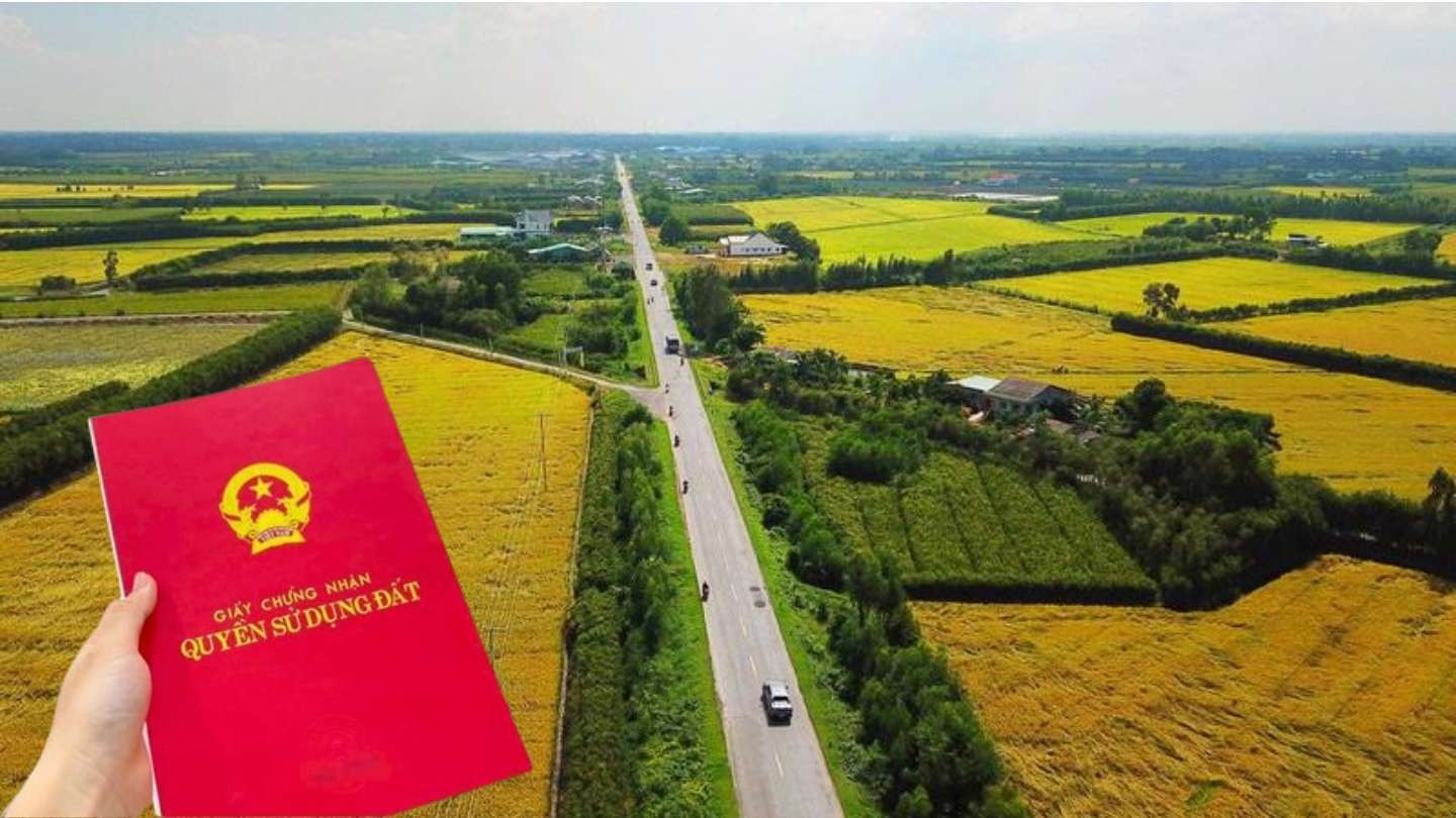 Từ giờ, tự ý chuyển đất trồng lúa sang đất ở tại Hà Nội sẽ bị phạt nặng gấp đôi- Ảnh 1. Từ giờ, tự ý chuyển đất trồng lúa sang đất ở tại Hà Nội sẽ bị phạt nặng gấp đôi- Ảnh 1.