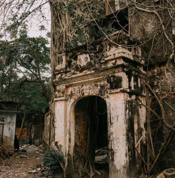 Biệt thự 'ma' giữa lòng cố đô: Tàn tích của một thời hoàng kim, nơi bồ đề trăm tuổi ôm trọn ký ức vương giả dưới triều Nguyễn- Ảnh 3. Biệt thự 'ma' giữa lòng cố đô: Tàn tích của một thời hoàng kim, nơi bồ đề trăm tuổi ôm trọn ký ức vương giả dưới triều Nguyễn- Ảnh 3.