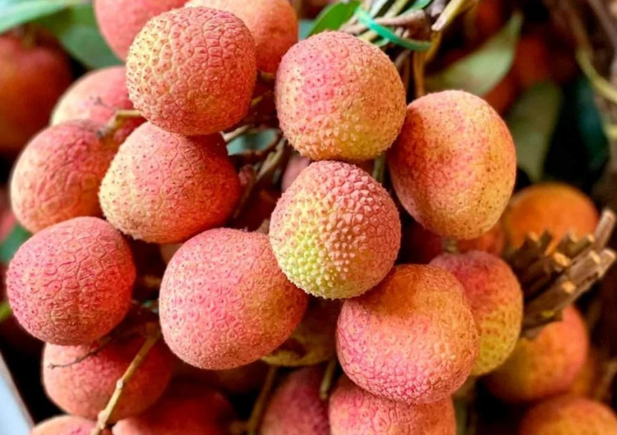Vải u hồng và vải chín sớm ở Tây Nguyên được bán rất đắt đỏ tại TP. Hồ Chí Minh, nhiều người cảnh báo về việc bị lừa khi mua trên mạng xã hội