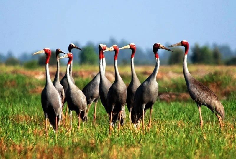 Tỉnh thành vốn không có biển, sau sáp nhập sở hữu bãi cát đen 'đắt giá' nổi tiếng nhất Việt Nam - ảnh 3