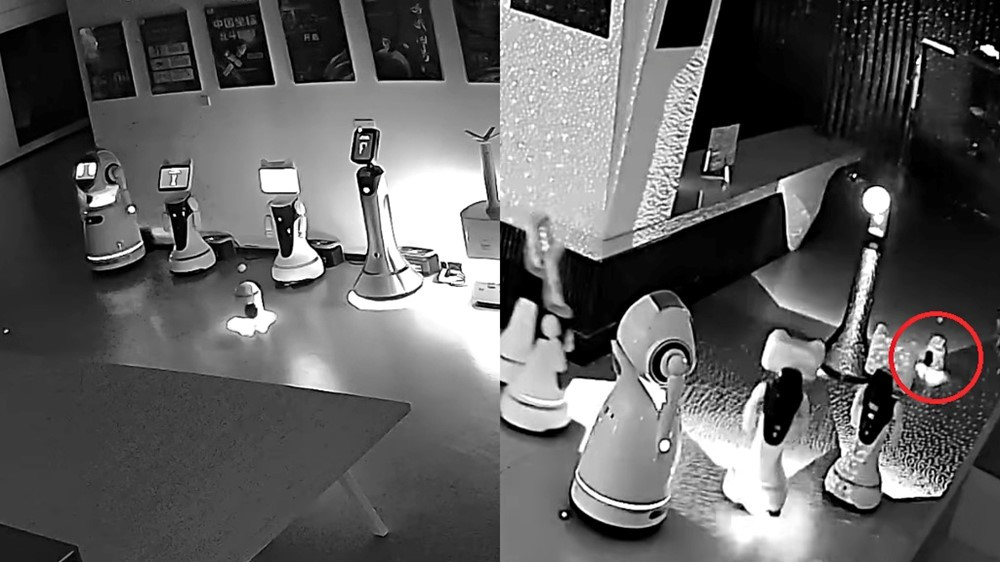 Báo động đỏ về AI: Con robot cao 70cm rủ 12 robot đào tẩu khỏi nơi làm việc, khiến giới công nghệ sửng sốt - ảnh 1
