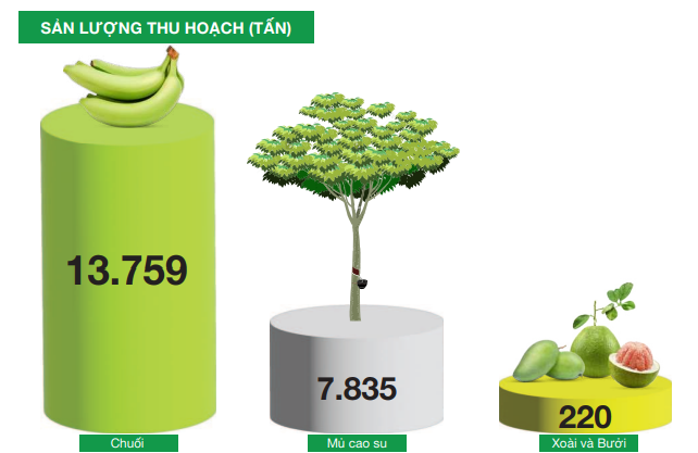 Năm 2026 của HAGL và Agrico: Bầu Đức muốn ‘trả nợ đời’, ông Trần Bá Dương kỳ vọng ‘thanh thản hơn’
