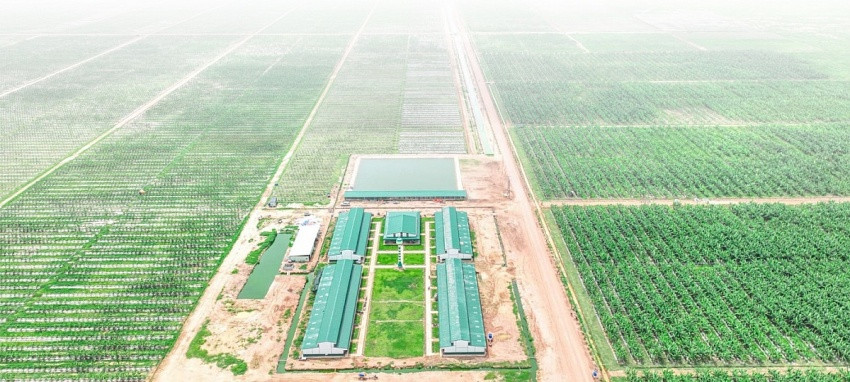 Năm 2026 của HAGL và Agrico: Bầu Đức muốn ‘trả nợ đời’, ông Trần Bá Dương kỳ vọng ‘thanh thản hơn’