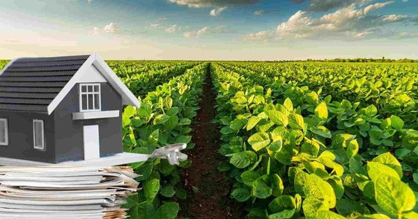 Từ bây giờ, làm thế nào để chuyển đất nông nghiệp sang đất thổ cư?