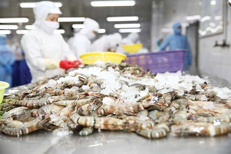Bất ngờ về thủy sản Việt Nam xuất khẩu