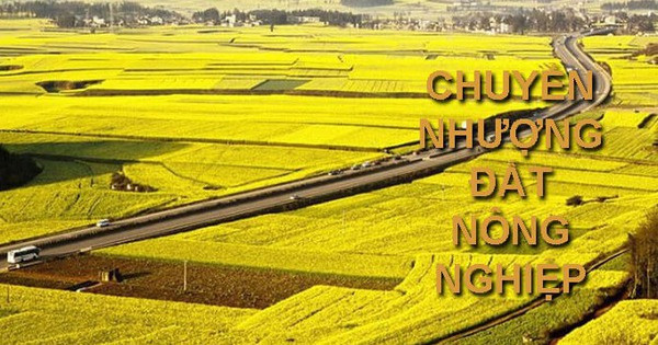 Theo Luật mới nhất, điều kiện chuyển nhượng đất nông nghiệp có sự thay đổi lớn