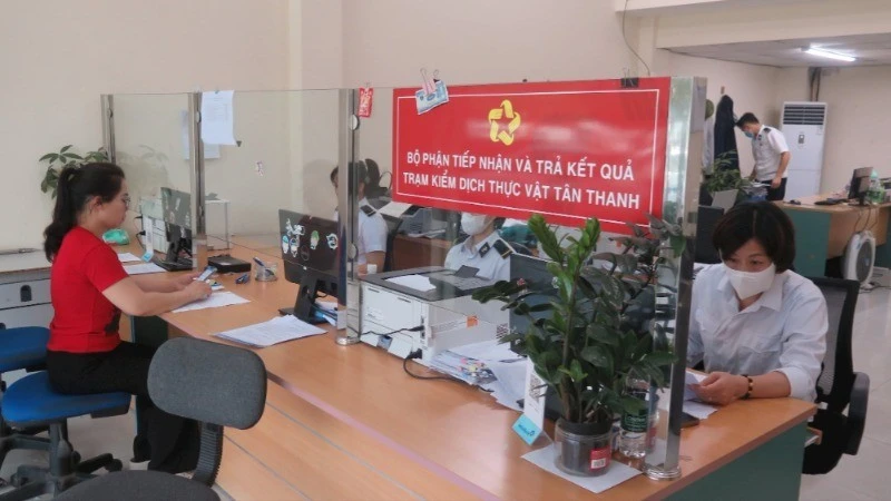 Mở ‘luồng xanh’ cho hoa quả tươi qua Lạng Sơn sang Trung Quốc