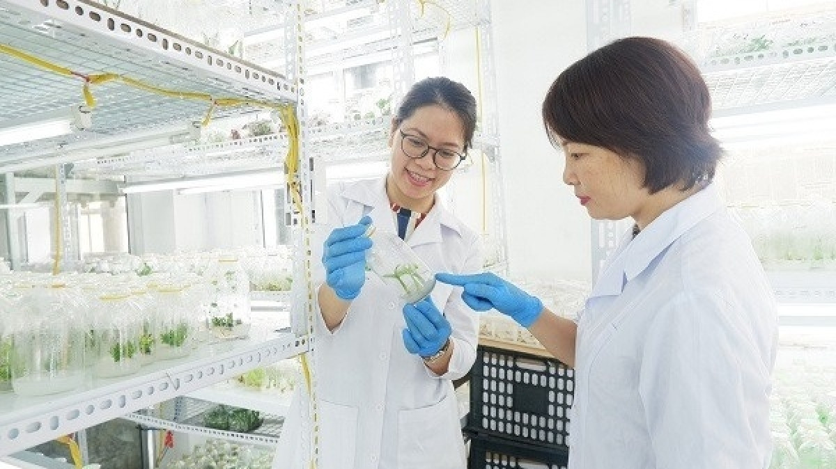 Ngành học đóng vai trò then chốt, ‘nóng’ không kém y, dược nhưng đang bị ‘ngó lơ’: Ra trường lương tới 30 triệu/tháng, vẫn hiếm sinh viên