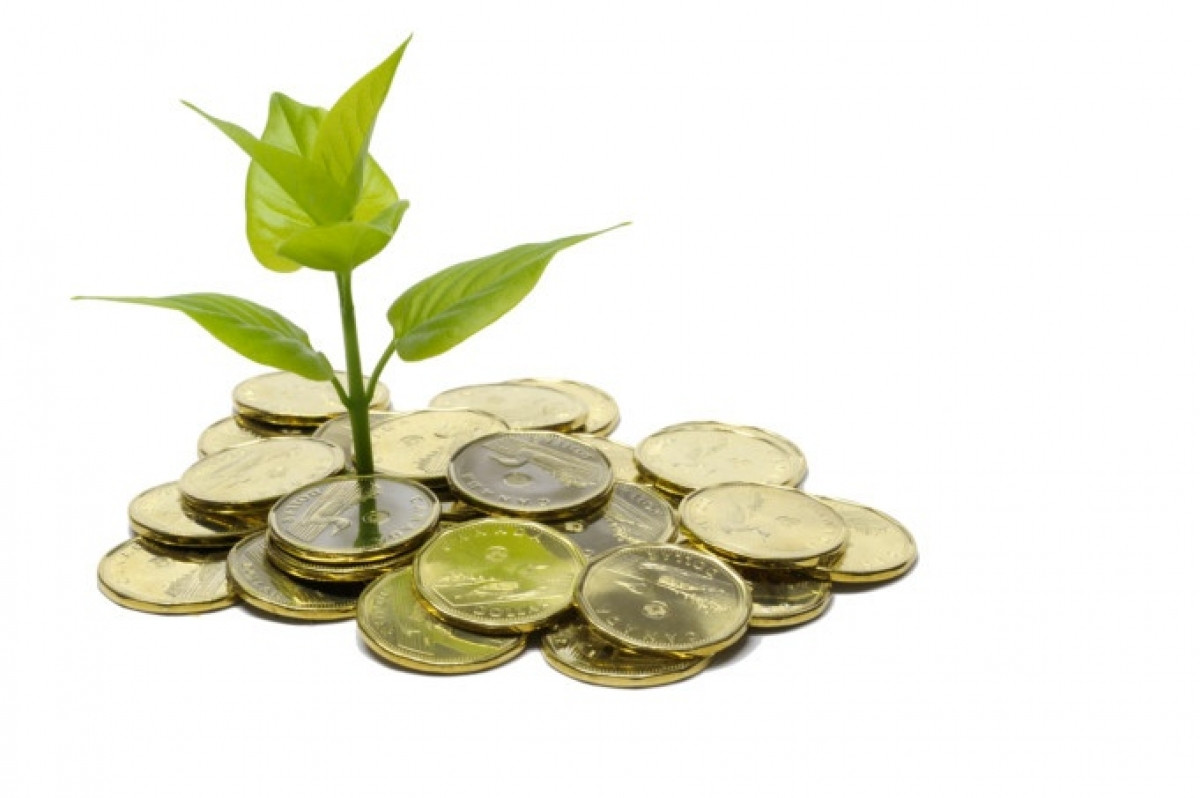 5 doanh nghiệp sắp chốt quyền cổ tức bằng tiền, cao nhất 20%