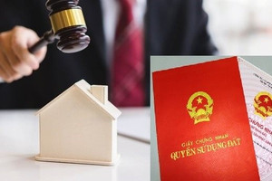 Năm 2022: Hòa Bình đấu giá quyền sử dụng gần 476 ha đất