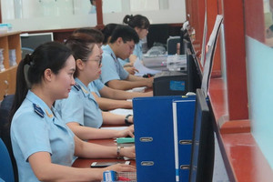 Hướng dẫn xếp lương công chức ngành kế toán, thuế, hải quan, dự trữ