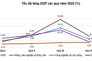 GDP năm 2022 tăng 8,02%