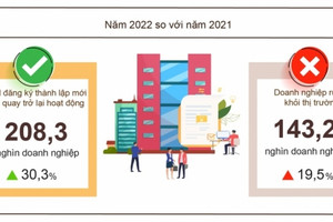 Hơn 208 nghìn doanh nghiệp thành lập và hoạt động trở lại trong năm 2022