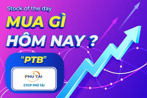 Mua gì hôm nay? PTB - Tiềm năng từ mảng đá thạch anh