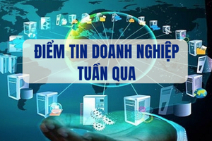 Điểm tin doanh nghiệp tuần qua: Novaland, Mixue, Beamin, bán hàng đa cấp… là tiêu điểm