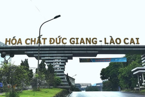 Yêu cầu điều tra làm rõ số tiền thu lợi bất chính của công ty trực thuộc DGC