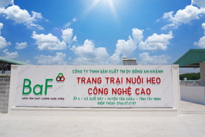 Nông nghiệp BAF phát hành hơn 92 triệu cổ phiếu tăng vốn điều lệ