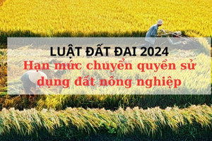 Luật Đất đai 2024 đi vào đời sống, hạn mức nhận chuyển quyền sử dụng đất nông nghiệp có thay đổi