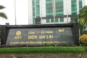 Điện Gia Lai (GEG) lên kế hoạch chào bán 200 tỷ đồng trái phiếu để cơ cấu nợ