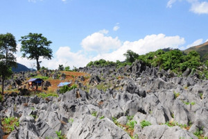 Khám phá vùng cao nguyên đá được ví như ‘Sa Pa thu nhỏ’ nằm ở độ cao 1.400m, cách TP. Điện Biên Phủ 130km