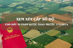 Đất vi phạm được giao trước ngày 1/7/2014 sẽ được xem xét cấp sổ đỏ