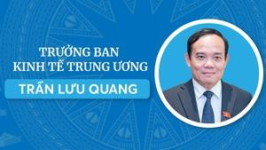 INFOGRAPHICS: Tóm tắt tiểu sử Tân Trưởng Ban Kinh tế Trung ương Trần Lưu Quang