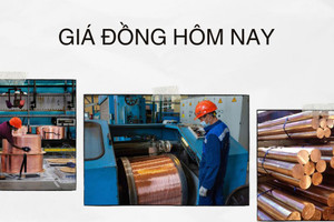 Giá kim loại đồng ngày 30/11: tăng nhẹ