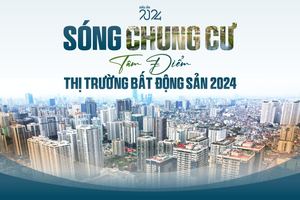 Sóng chung cư: Tâm điểm thị trường bất động sản 2024