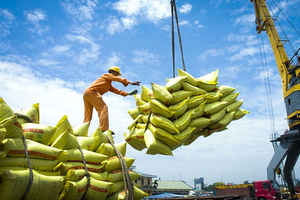 Quy định mới về kinh doanh xuất khẩu gạo