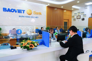 Kết quả kinh doanh 2024 của BAOVIET Bank: Có đạt kỳ vọng?