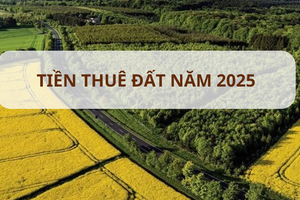 Năm nay, sẽ giảm 30% tiền thuê đất?