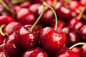 Tranh nhau mua cherry 4 triệu đồng/hộp làm quà tặng xa xỉ Tết Ất Tỵ