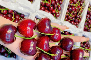 Cherry đắt đỏ vẫn ‘cháy hàng’, bất ngờ với 'sầu riêng giải cứu' 50.000 đồng/kg