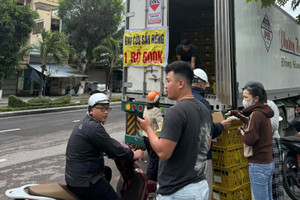 Cuống cuồng bán tống bán tháo sầu riêng