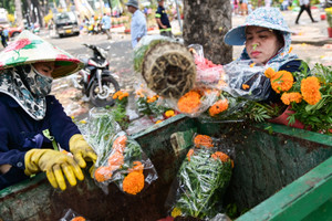 Ngậm ngùi vứt bỏ hoa Tết chiều cuối năm