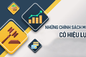 Nhiều chính sách mới có hiệu lực từ tháng 2/2025