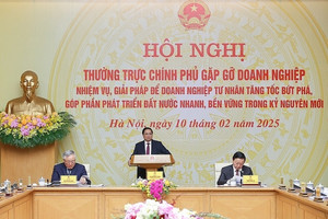 Cuộc họp sáng 10/2: Chính phủ gửi tín hiệu mới đến VinFast, THACO, Geleximco trong lĩnh vực ô tô