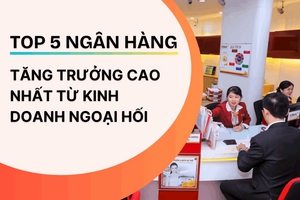 Top 5 ngân hàng tăng trưởng cao nhất từ kinh doanh ngoại hối năm 2024: Nhóm tư nhân bứt phá, BIDV dẫn đầu nhóm quốc doanh