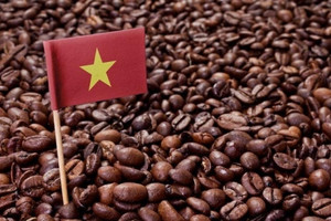 Giá vàng tăng 11% từ đầu năm nhưng vẫn thua xa mặt hàng này khi tăng tới 35% gây ra cơn 'chấn động' toàn cầu