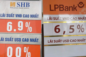 Lãi suất ngân hàng hôm nay 11/2/2025: Gửi 12 tháng ở đâu nhận lãi cao nhất 6,3%?