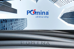 Pomina (POM) chỉ còn 16 tỷ đồng tiền mặt, đang đối diện khoản vay 6.200 tỷ tại BIDV, Vietcombank, VietinBank