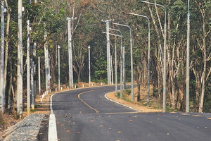 Đẹp như trời Âu con đường 'mới coong' xuyên rừng cao su cạnh siêu sân bay lớn nhất Việt Nam